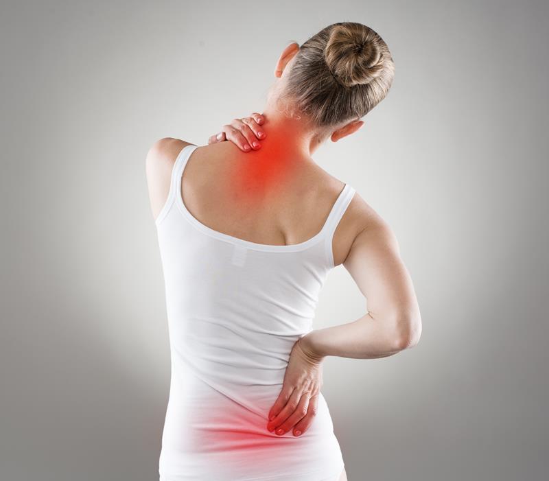 chiropractic services  Gainesville, FL